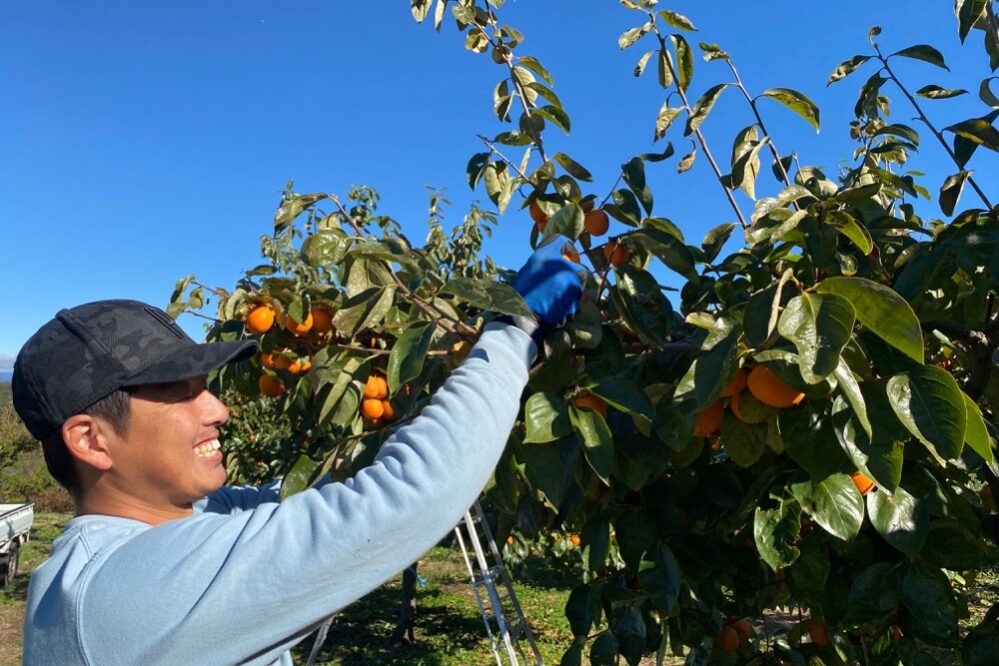 本田洋平（7期生）