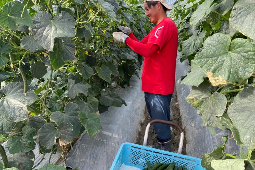 本田洋平（7期生）