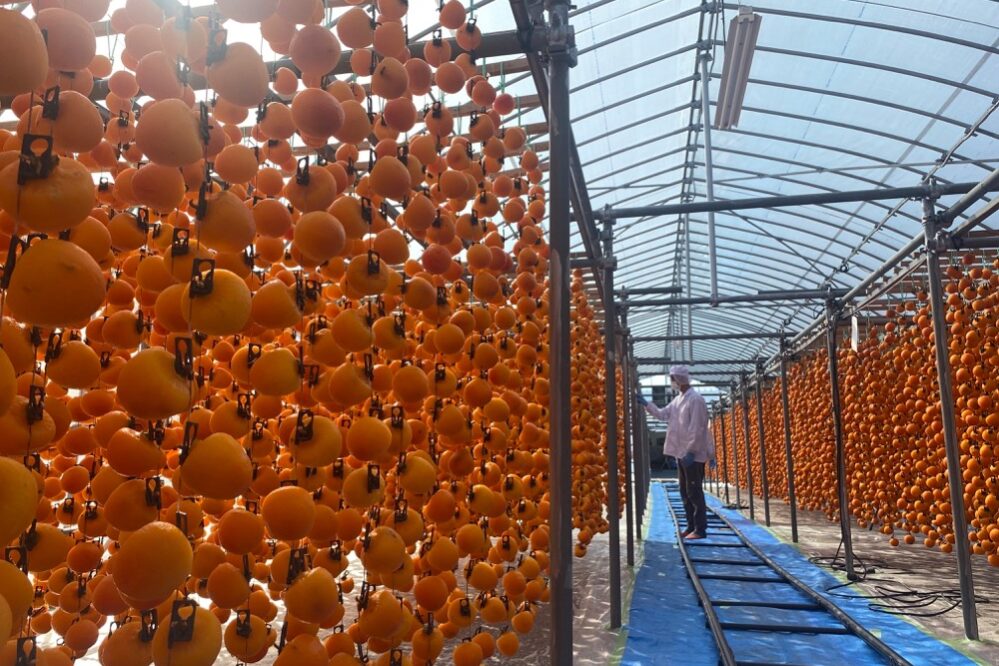 本田洋平（7期生）